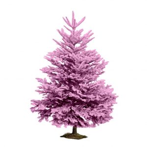 Sapin Floqué Couleur